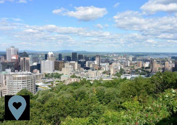 Visit Montreal in 5 days