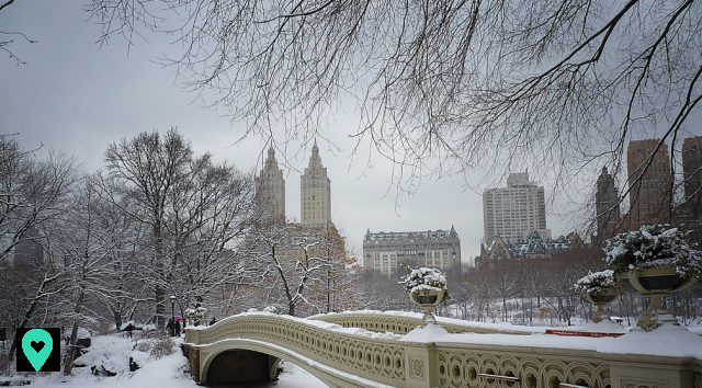 Cosa fare a New York durante l'inverno?