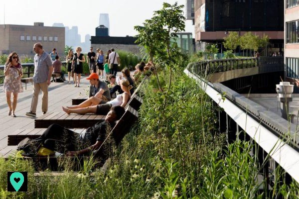 High Line New York: a timeless walk to do absolutely