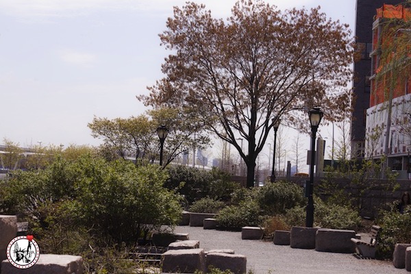Discover the Gantry Plaza State Park with its magnificent skyline