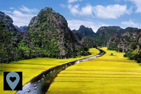 Tours and activities in Ninh Binh