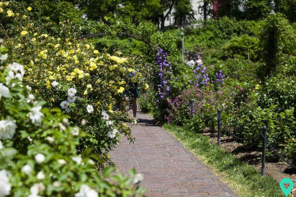 Brooklyn Botanic Garden - Un'esperienza a colori pieni