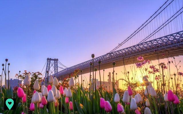 What to do in New York in April 2019: activities and events not to miss