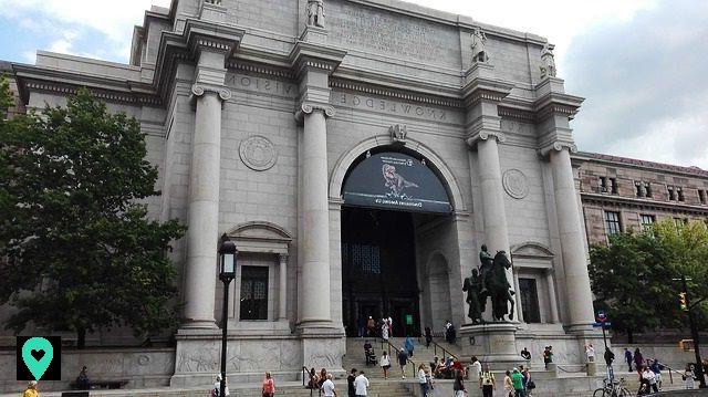 New York Museum of Natural History: a place full of great surprises!