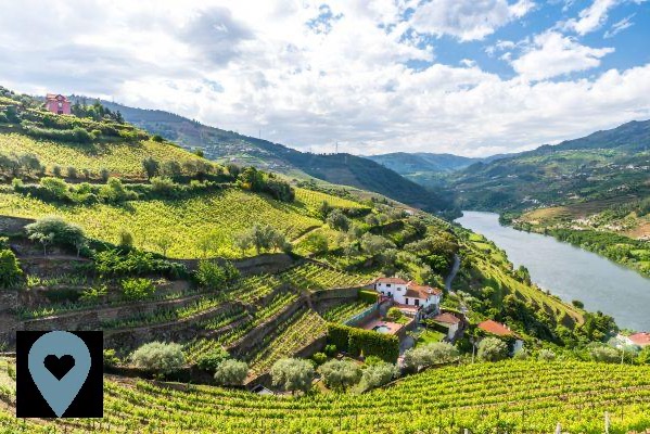 Visite o Vale do Douro