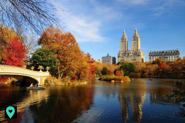 What to do in New York in October? Activities and events not to be missed