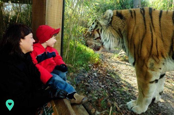 Bronx Zoo: um dia tropical para toda a família!