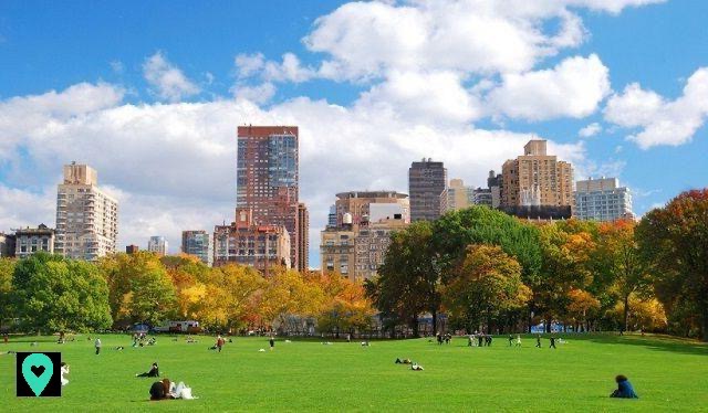 Central Park: un remanso de paz en medio de Manhattan