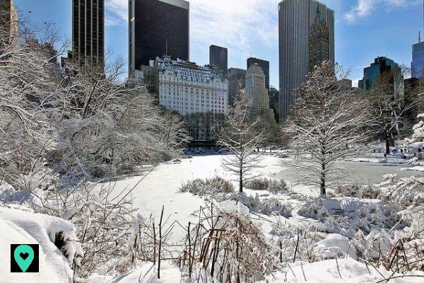 What to do in New York in December 2018? A little guide to make sure you don't miss a thing!
