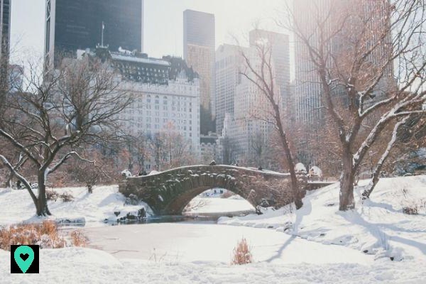 What to do in New York in December 2018? A little guide to make sure you don't miss a thing!