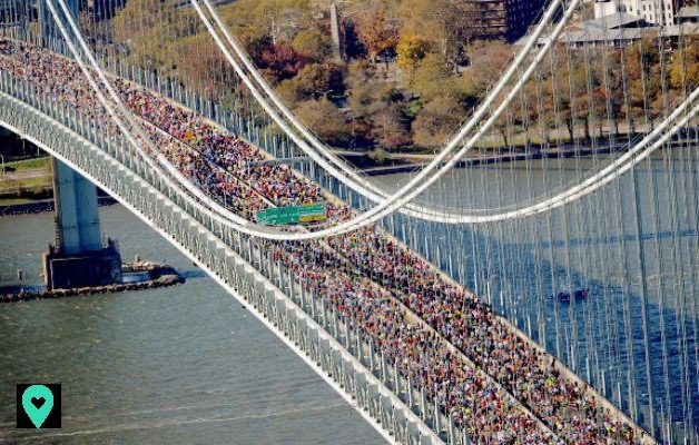 New York Marathon: How to participate? Where and when to see it?