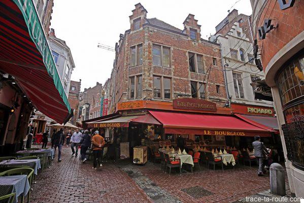 “Eating, drinking, sleeping” in BRUSSELS: we tested…