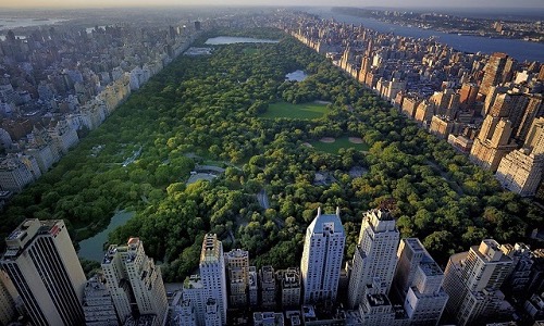 ¿Cuál es el tamaño y el área de Central Park?