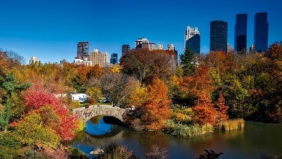 What is the size and area of ​​Central Park?