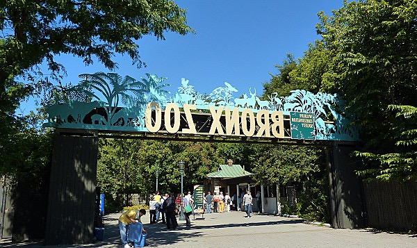 Visit the Bronx Zoo