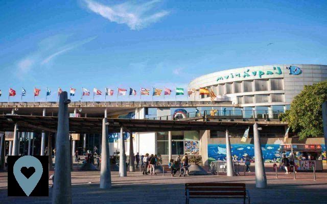 Barcelona Aquarium - Information and tickets for the Mediterranean