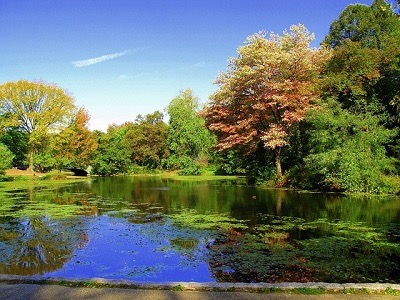 Prospect Park: welcome to Brooklyn Central Park!