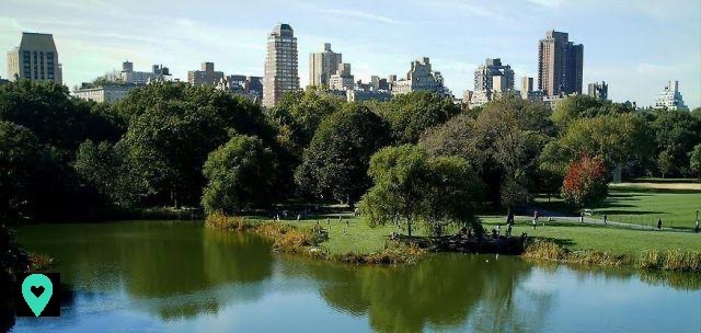 Take a walk in Central Park