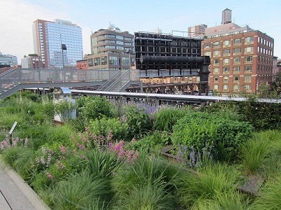 Green Line New York: a hanging park to visit at all costs!