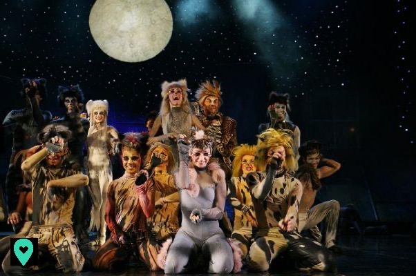 Come andare a vedere il musical Cats a Broadway?