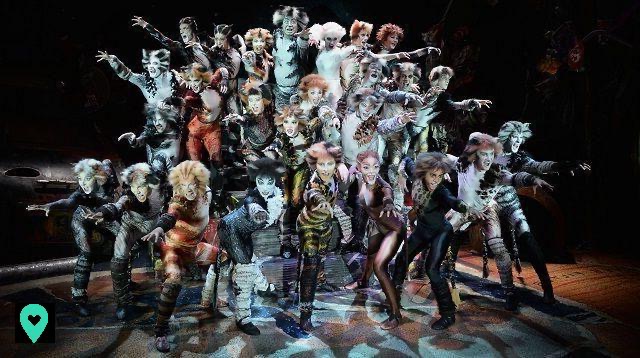¿Cómo se llega a ver el musical Cats en Broadway?