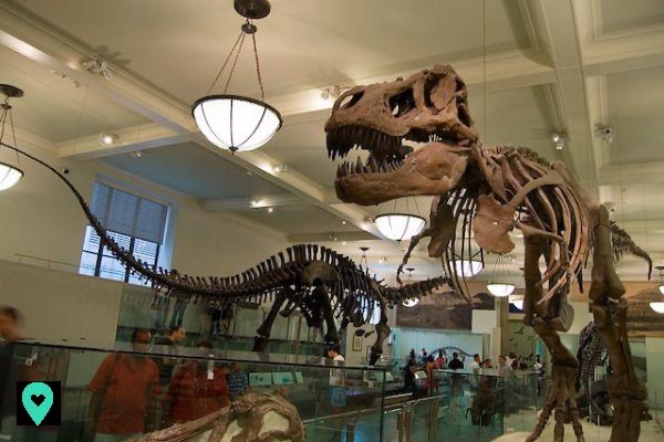 The American Museum of Natural History, a cultural institution in New York